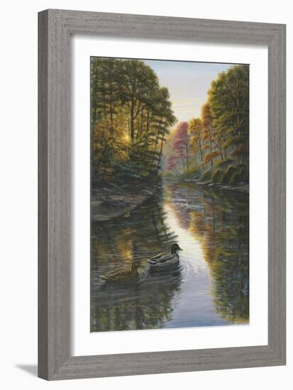 Autumn Mallards-Bruce Dumas-Framed Giclee Print