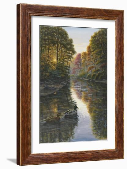 Autumn Mallards-Bruce Dumas-Framed Giclee Print