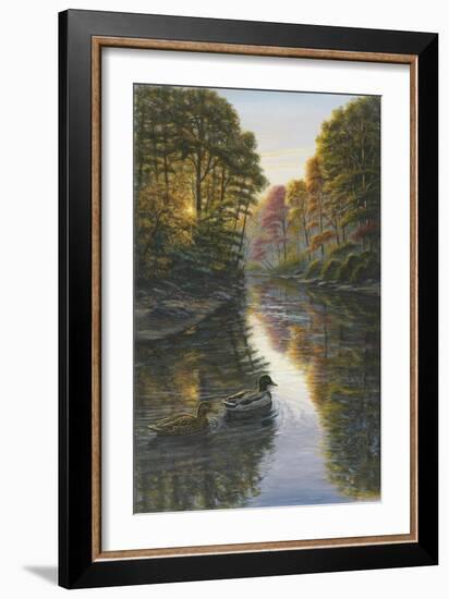 Autumn Mallards-Bruce Dumas-Framed Giclee Print