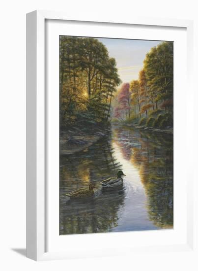 Autumn Mallards-Bruce Dumas-Framed Giclee Print