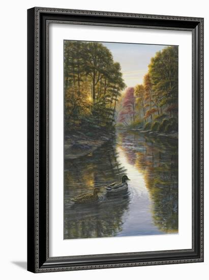 Autumn Mallards-Bruce Dumas-Framed Giclee Print