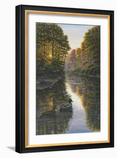 Autumn Mallards-Bruce Dumas-Framed Giclee Print