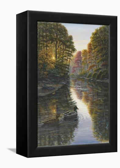 Autumn Mallards-Bruce Dumas-Framed Premier Image Canvas