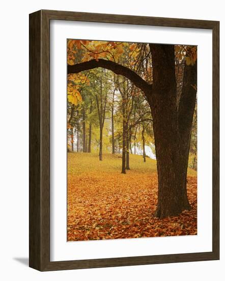 Autumn, Manito Park, Spokane, Washington, USA-Charles Gurche-Framed Photographic Print