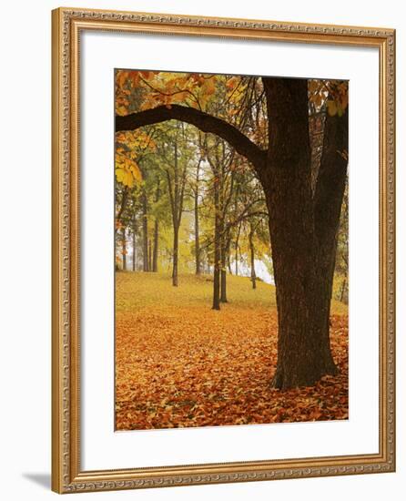 Autumn, Manito Park, Spokane, Washington, USA-Charles Gurche-Framed Photographic Print