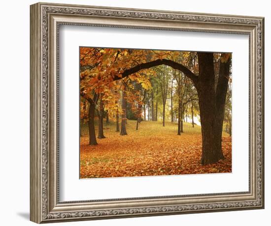 Autumn, Manito Park, Spokane, Washington, USA-Charles Gurche-Framed Photographic Print