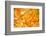 Autumn Maple Leaves Background-Liang Zhang-Framed Photographic Print