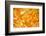 Autumn Maple Leaves Background-Liang Zhang-Framed Photographic Print