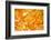 Autumn Maple Leaves Background-Liang Zhang-Framed Photographic Print