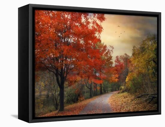 Autumn Maples-Jessica Jenney-Framed Premier Image Canvas