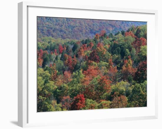 Autumn, Mark Twain National Forest, Missouri, USA-Charles Gurche-Framed Photographic Print