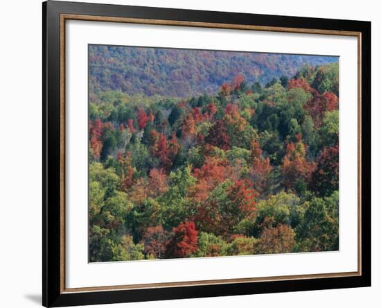 Autumn, Mark Twain National Forest, Missouri, USA-Charles Gurche-Framed Photographic Print