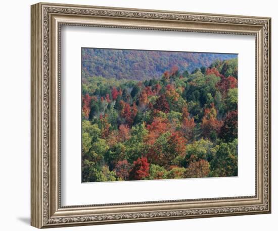 Autumn, Mark Twain National Forest, Missouri, USA-Charles Gurche-Framed Photographic Print