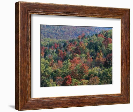 Autumn, Mark Twain National Forest, Missouri, USA-Charles Gurche-Framed Photographic Print