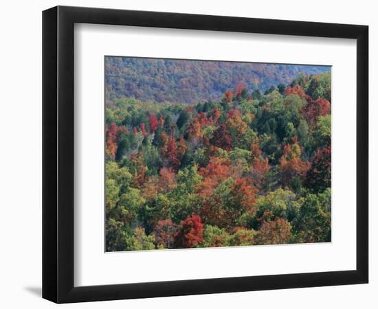 Autumn, Mark Twain National Forest, Missouri, USA-Charles Gurche-Framed Photographic Print