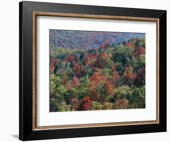 Autumn, Mark Twain National Forest, Missouri, USA-Charles Gurche-Framed Photographic Print