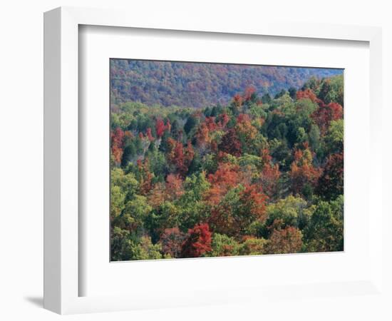 Autumn, Mark Twain National Forest, Missouri, USA-Charles Gurche-Framed Photographic Print