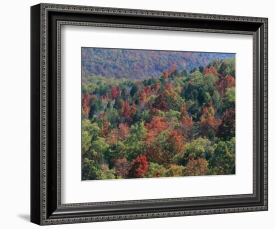 Autumn, Mark Twain National Forest, Missouri, USA-Charles Gurche-Framed Photographic Print