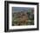 Autumn, Mark Twain National Forest, Missouri, USA-Charles Gurche-Framed Photographic Print