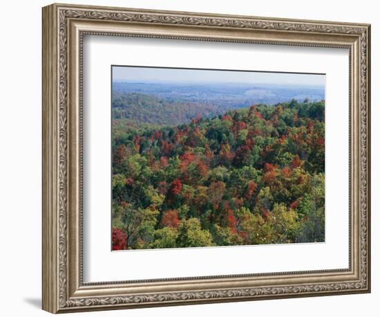 Autumn, Mark Twain National Forest, Missouri, USA-Charles Gurche-Framed Photographic Print