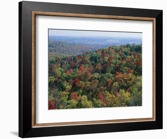 Autumn, Mark Twain National Forest, Missouri, USA-Charles Gurche-Framed Photographic Print