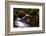 Autumn Melodies-Yavuz Pancareken-Framed Photographic Print