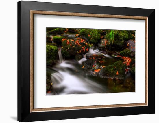 Autumn Melodies-Yavuz Pancareken-Framed Photographic Print