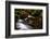 Autumn Melodies-Yavuz Pancareken-Framed Photographic Print