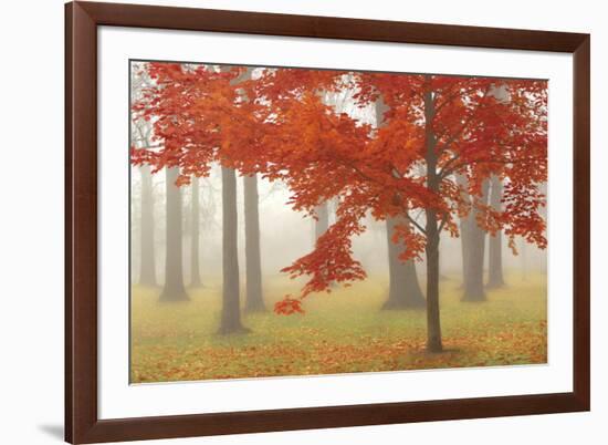 Autumn Mist II-Donna Geissler-Framed Art Print