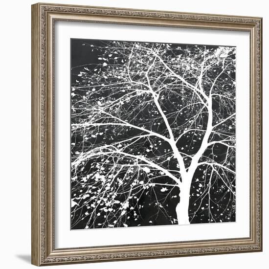 Autumn Mist II-Linda Wood-Framed Giclee Print