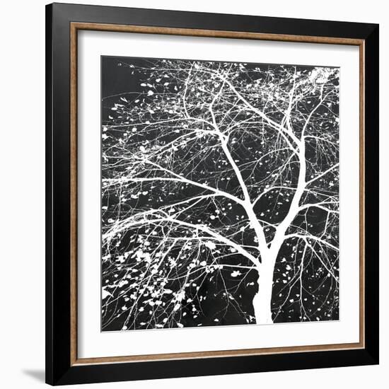 Autumn Mist II-Linda Wood-Framed Giclee Print