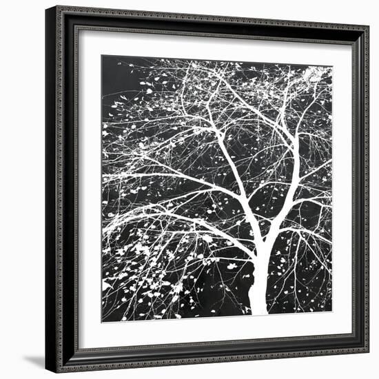 Autumn Mist II-Linda Wood-Framed Giclee Print