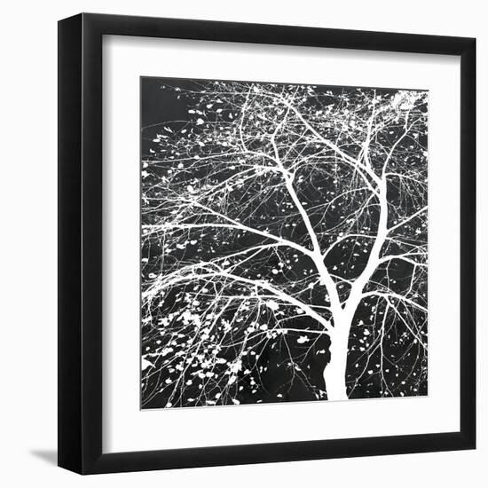 Autumn Mist II-Linda Wood-Framed Giclee Print