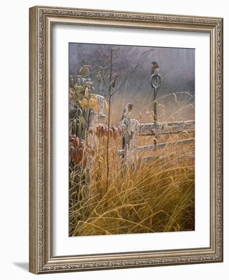 Autumn Mist-Michael Budden-Framed Giclee Print