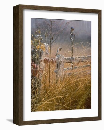 Autumn Mist-Michael Budden-Framed Giclee Print