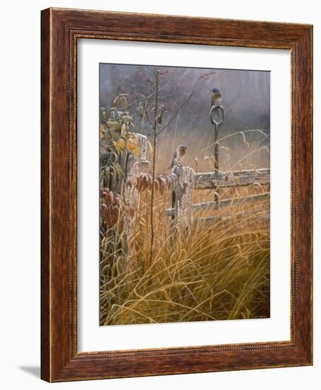 Autumn Mist-Michael Budden-Framed Giclee Print