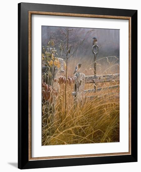 Autumn Mist-Michael Budden-Framed Giclee Print