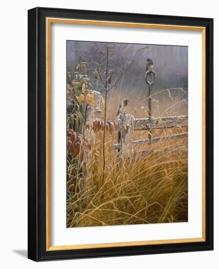 Autumn Mist-Michael Budden-Framed Giclee Print