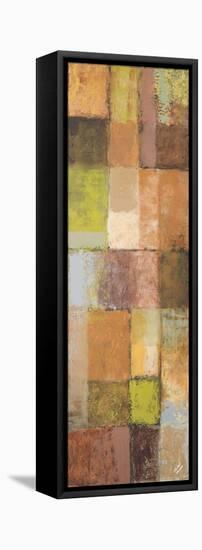 Autumn Mixtures II-Michael Marcon-Framed Stretched Canvas
