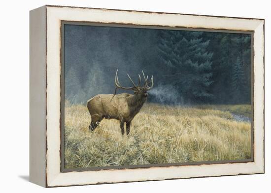 Autumn Monarch-Michael Budden-Framed Premier Image Canvas