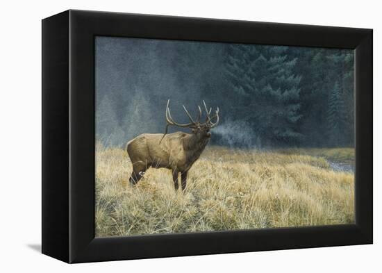 Autumn Monarch-Michael Budden-Framed Premier Image Canvas