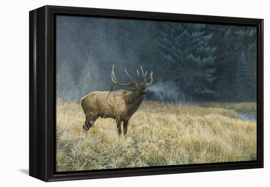 Autumn Monarch-Michael Budden-Framed Premier Image Canvas