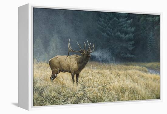 Autumn Monarch-Michael Budden-Framed Premier Image Canvas