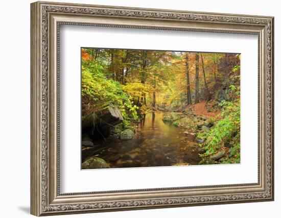 Autumn Mood, Autumnal Colouring, Ilsetal, National Park, Harz, Near Ilsenburg-Dieter Meyrl-Framed Photographic Print