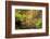 Autumn Mood, Autumnal Colouring, Ilsetal, National Park, Harz, Near Ilsenburg-Dieter Meyrl-Framed Photographic Print