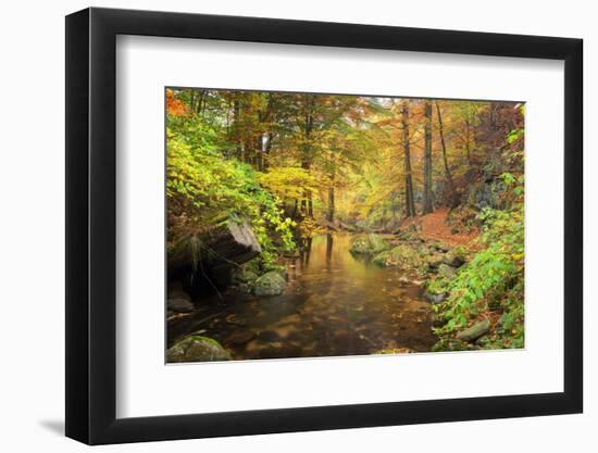 Autumn Mood, Autumnal Colouring, Ilsetal, National Park, Harz, Near Ilsenburg-Dieter Meyrl-Framed Photographic Print