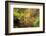 Autumn Mood, Autumnal Colouring, Ilsetal, National Park, Harz, Near Ilsenburg-Dieter Meyrl-Framed Photographic Print