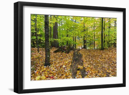 Autumn Mood in the Rural New Hampshire-Armin Mathis-Framed Photographic Print