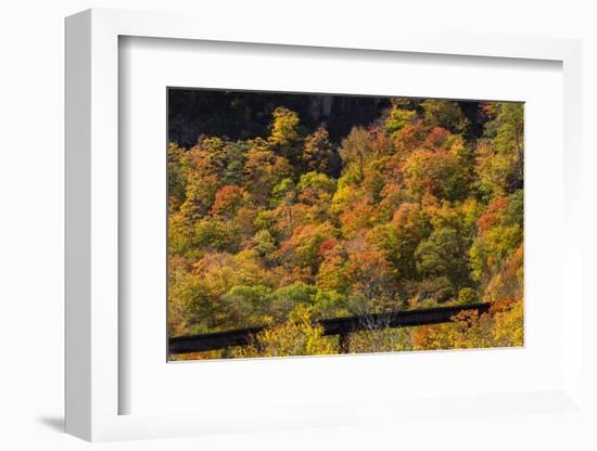 Autumn Mood in the Rural New Hampshire-Armin Mathis-Framed Photographic Print