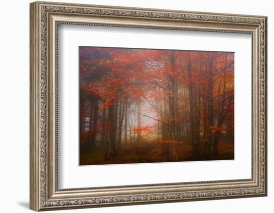 Autumn Mood-Philippe Sainte-Laudy-Framed Photographic Print